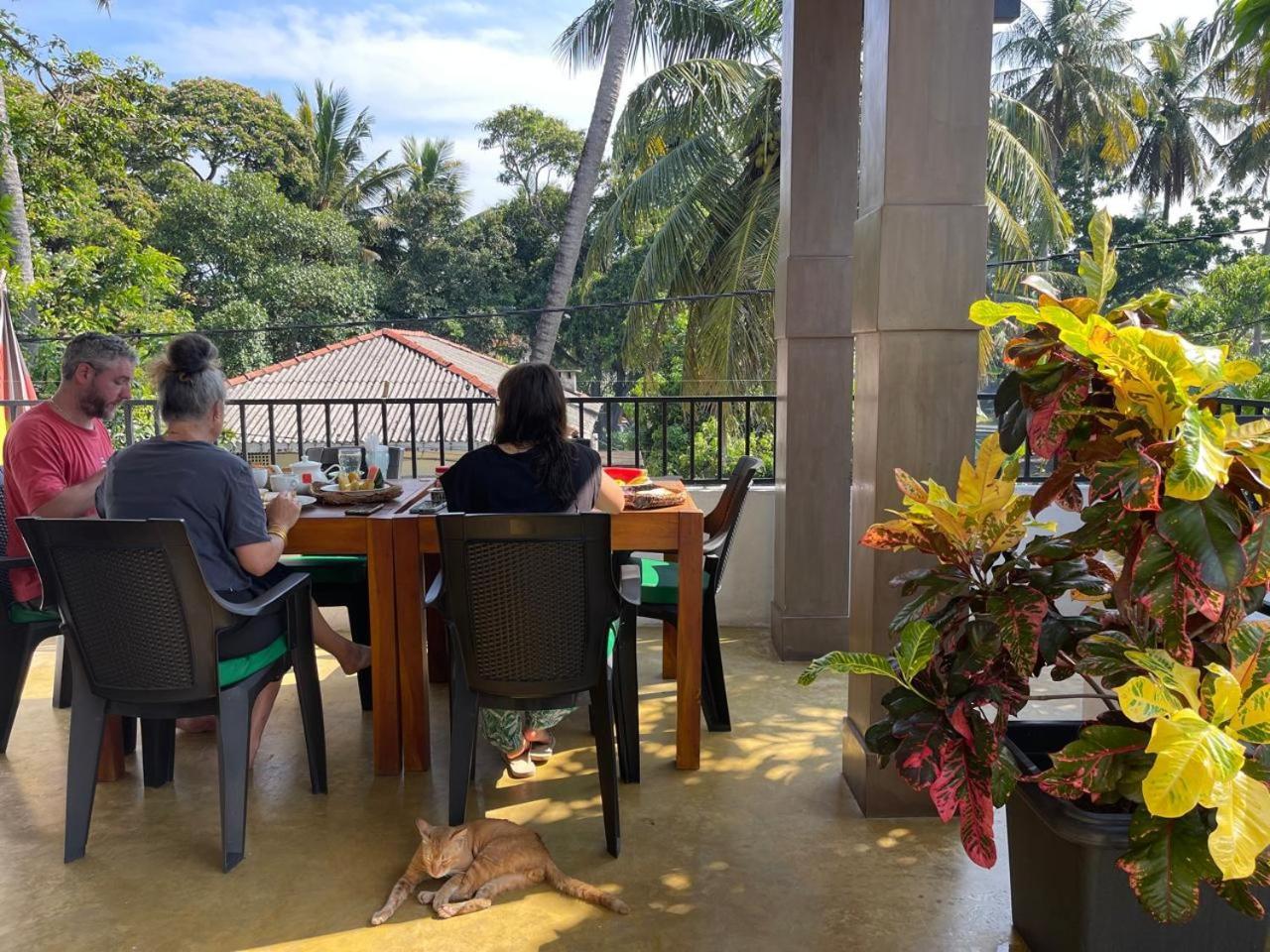 Star Canal Cottage Negombo Dış mekan fotoğraf