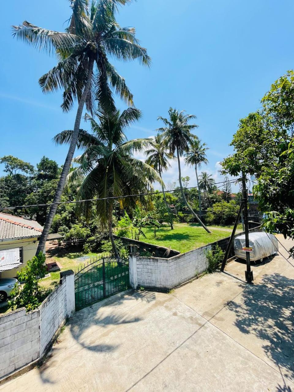 Star Canal Cottage Negombo Dış mekan fotoğraf